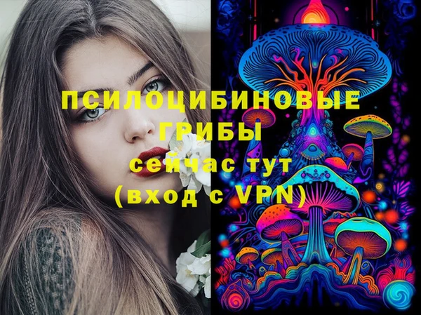 скорость Сосновый Бор