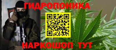 твердый Кингисепп