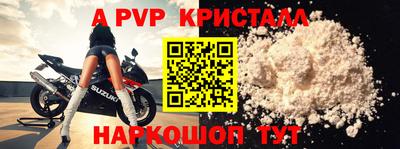 твердый Кингисепп
