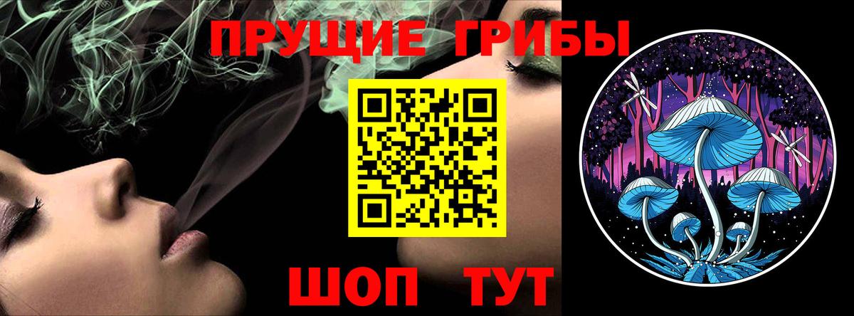 Галлюциногенные грибы ЛСД  Галлюциногенные грибы Psilocybe  Вход с VPN  Кузнецк 